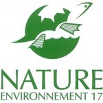 logo NE17