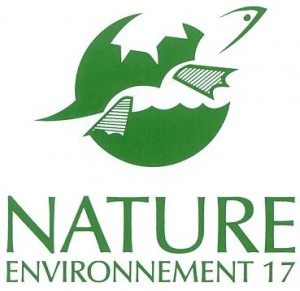 logo NE17