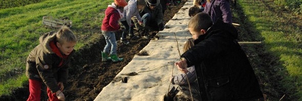 Appel aux planteurs : « Plusieurs centaines d’arbres à mettre en place en 2017 »