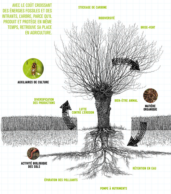 depliant-AFAF-agroforesterie-FR-2