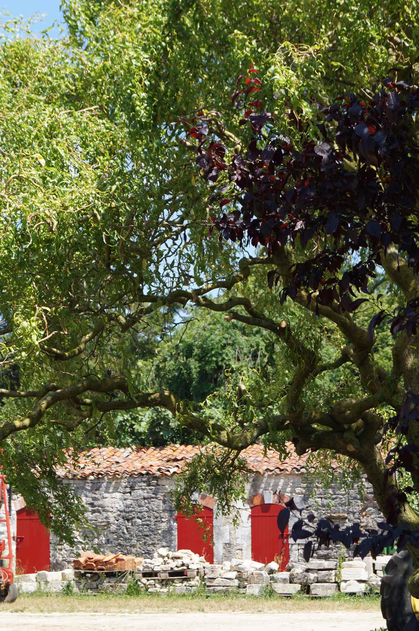 portes-rouges