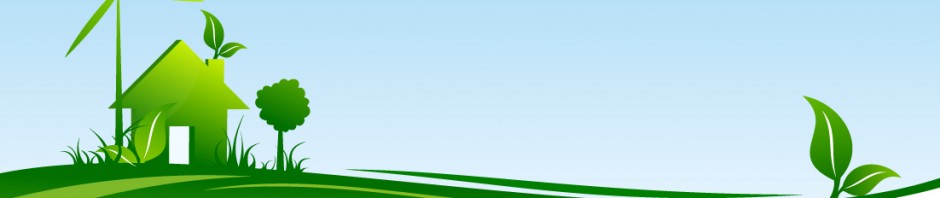 Zoom sur…l’AMAP de Dompierre/mer