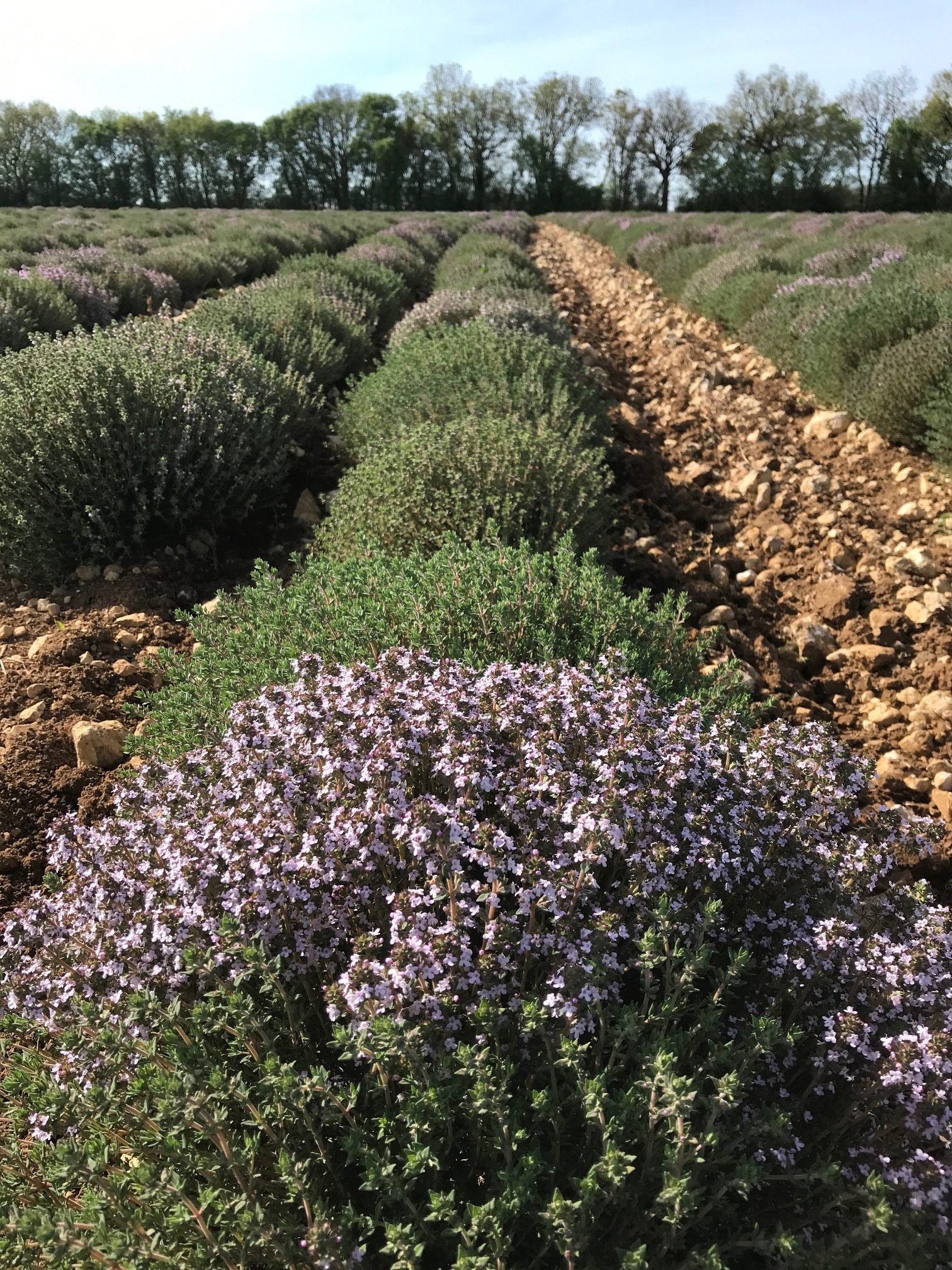 Et la boucle est bouclée !