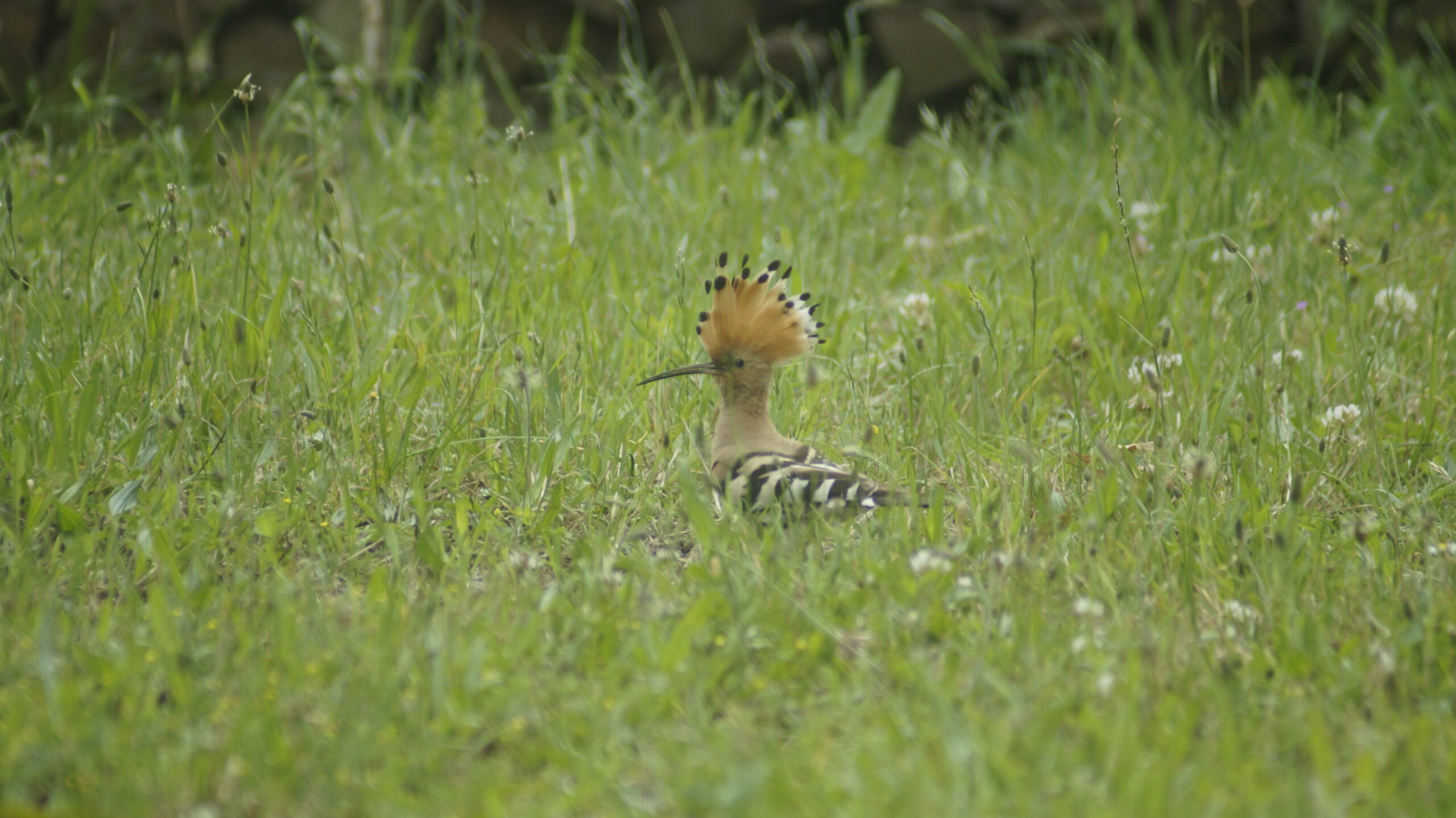 La biodiversité avec Terre de Liens