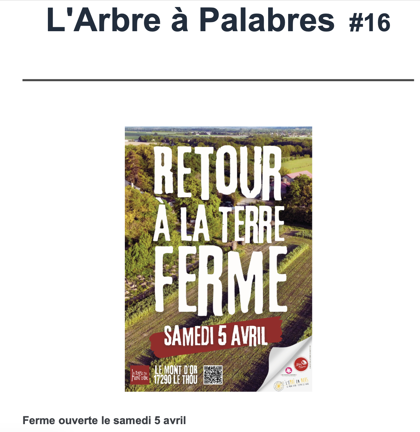 L’arbre à palabres #16