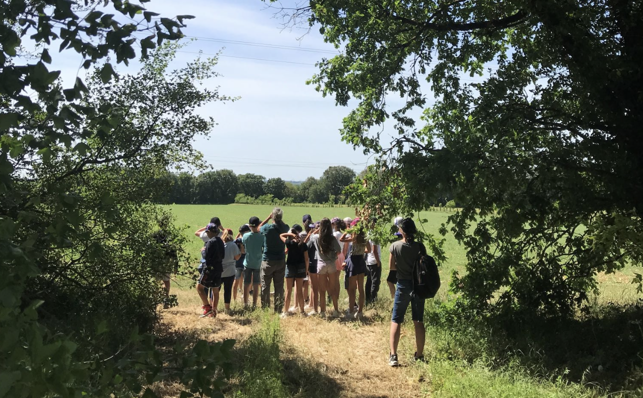 L’Arbre à Palabres #15