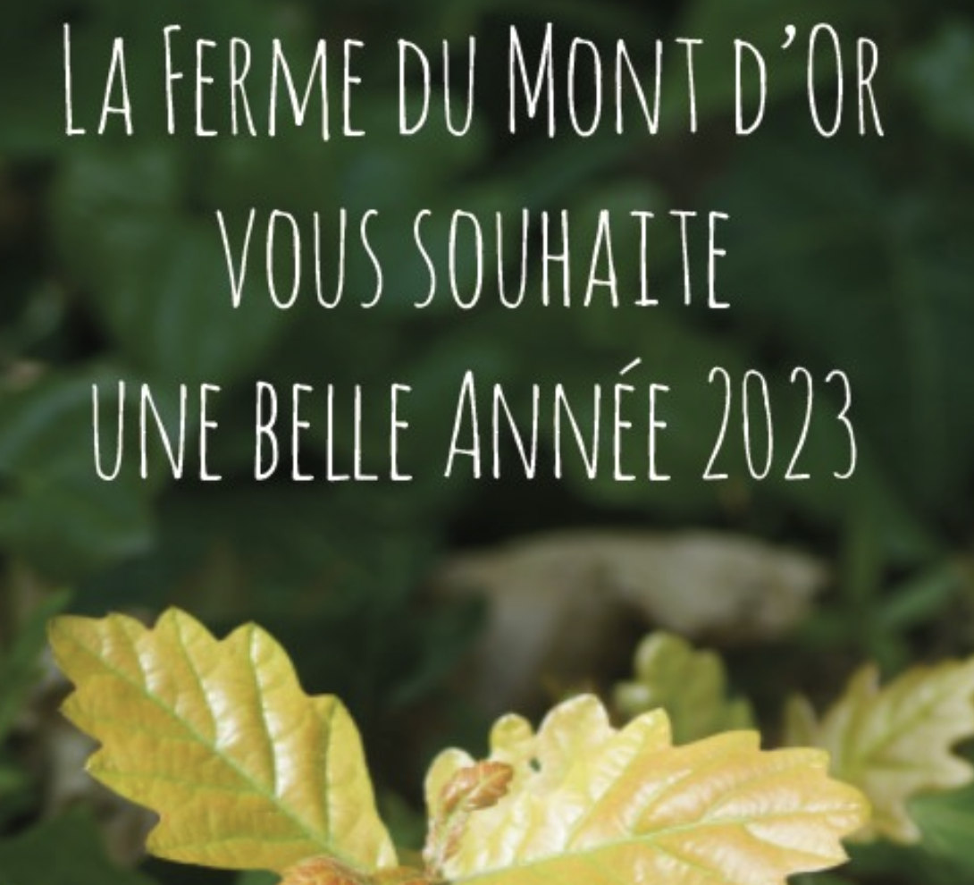 L’Arbre à Palabres #8