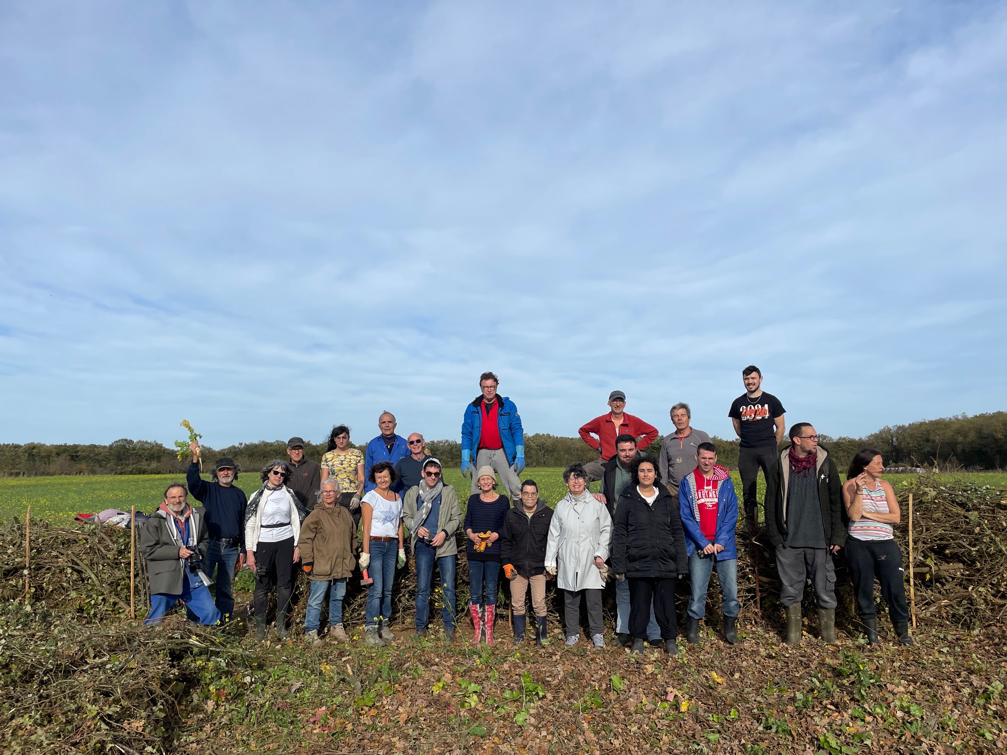 Création d’une Haie Sèche