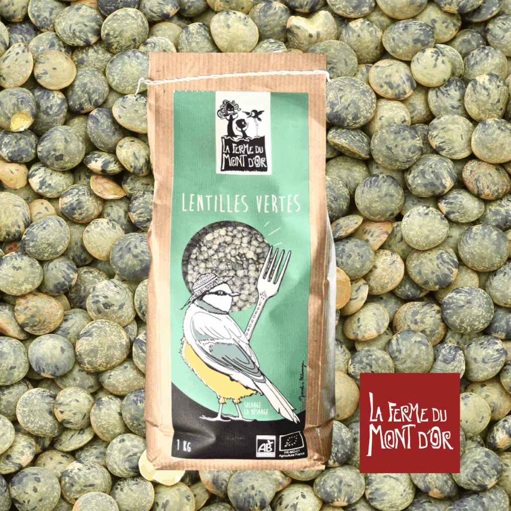 lentilles vertes