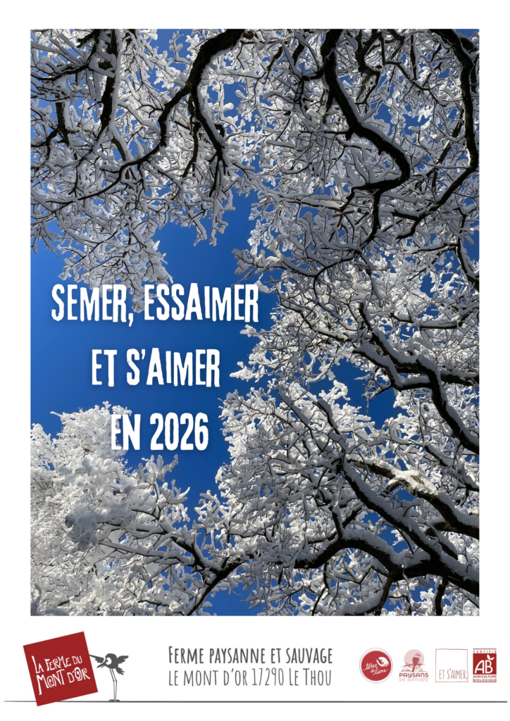 carte de voeux avec un arbre enneigé et écrit semer, essaimer et s'aimer en 2026