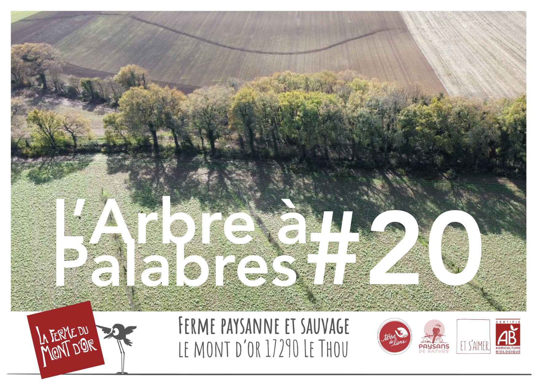 L’Arbre à Palabres #20