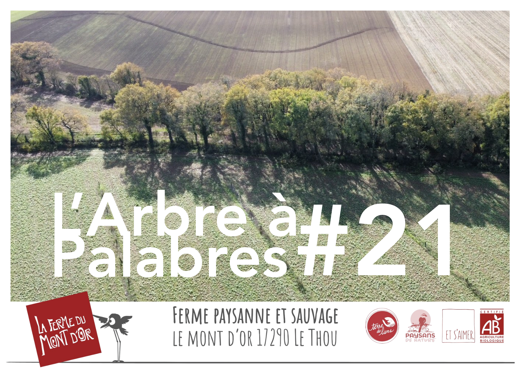 L’arbre à Palabres #21